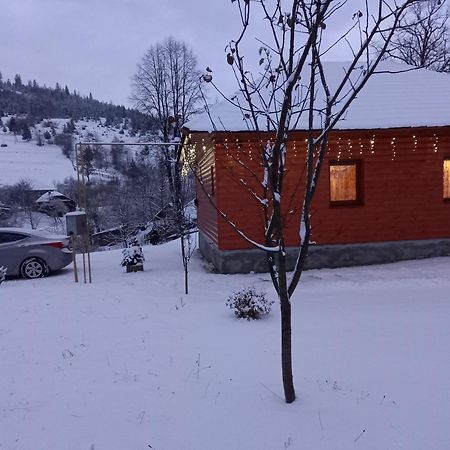Котедж Затишний відпочинок Гукливий Екстер'єр фото