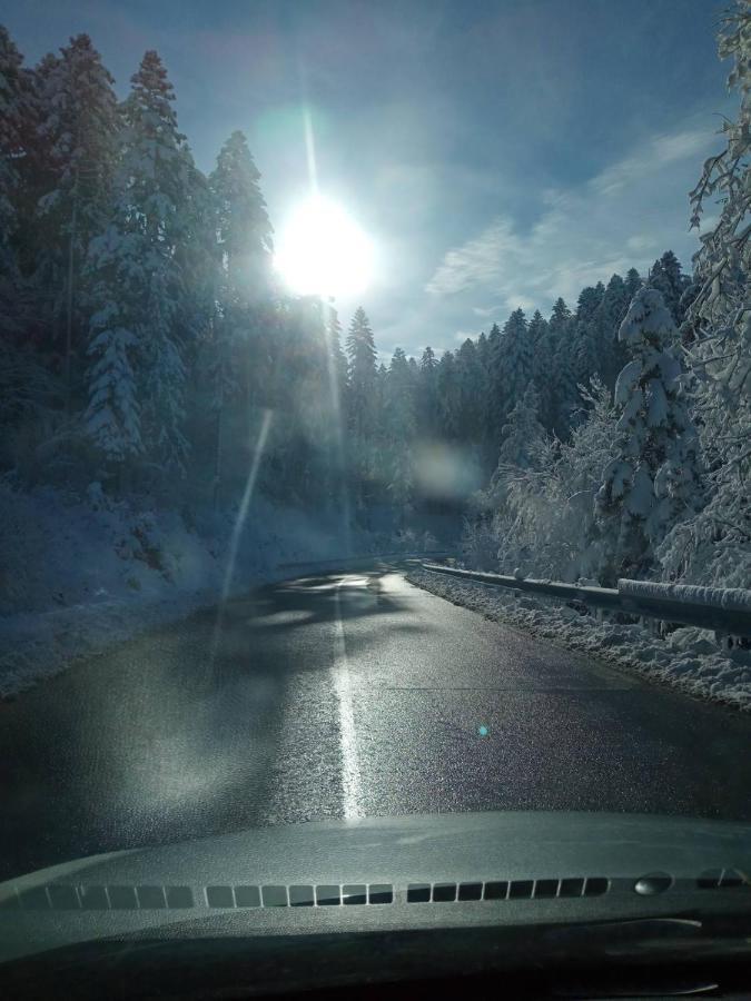 Котедж Затишний відпочинок Гукливий Екстер'єр фото