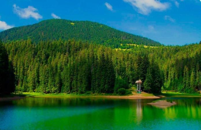 Котедж Затишний відпочинок Гукливий Екстер'єр фото